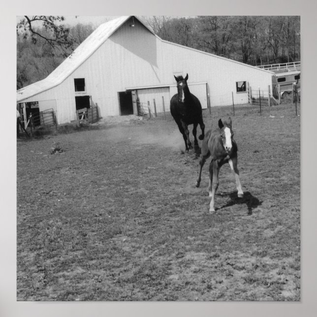 Kommen Sie bei Ya Poster (Vorne)