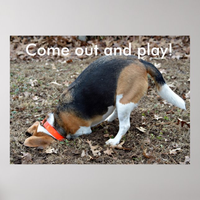 Kommen Sie raus und spielen Sie Beagle Digitalisie Poster (Vorne)