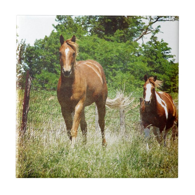 Kommen Sie, wenn gerufen, zwei Pferde Fliese (Vorderseite)
