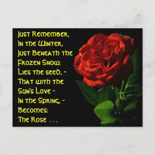 Kommen Sie zu Rose... Postkarte