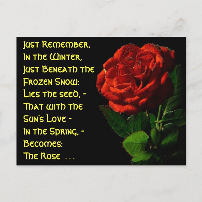 Kommen Sie zu Rose... Postkarte (Vorderseite)