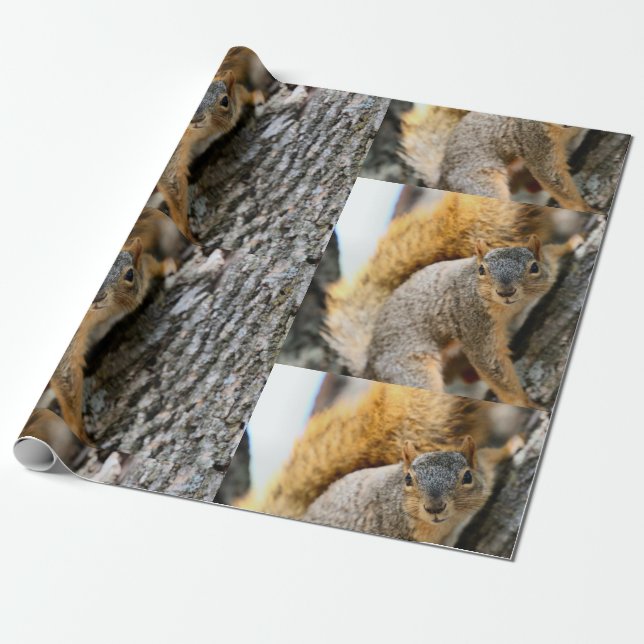 Kommst du nicht? geschenkpapier (Ungerollt)