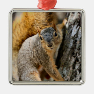 Kommst du nicht? ornament aus metall