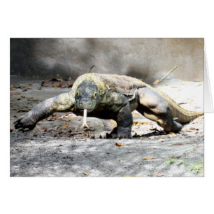 Komodo Drache (0751)