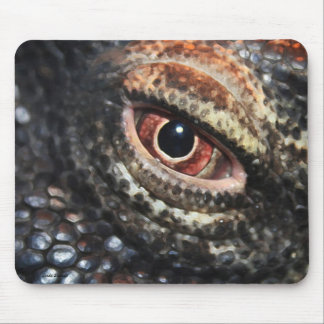 Komodo Drache-Auge mousepad
