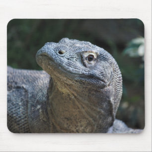 Komodo Drache Mousepad