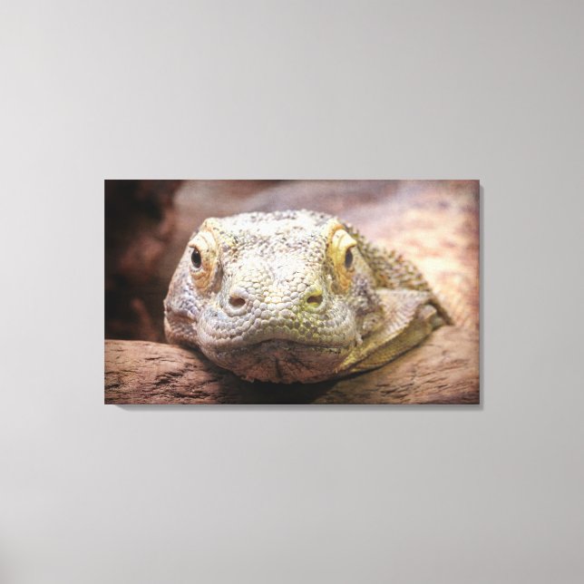 Komodo Drachenfotografie mit trauriger Oberfläche Leinwanddruck (Vorderseite)