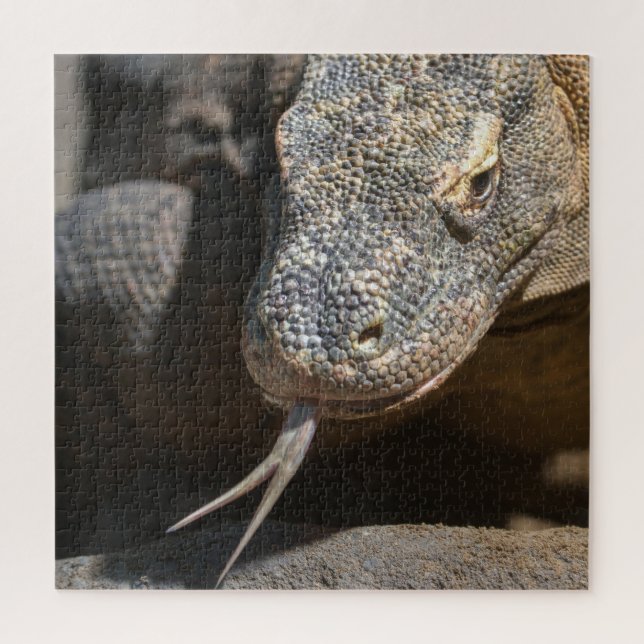 Komodo Dragon hält seine Zunge fest (Vertikal)