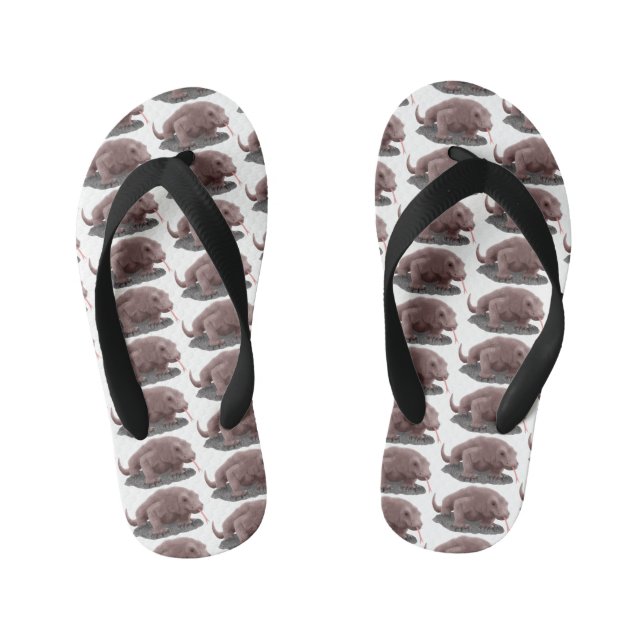 Komodo Dragon Illustration Kinderbadesandalen (Fußbett)