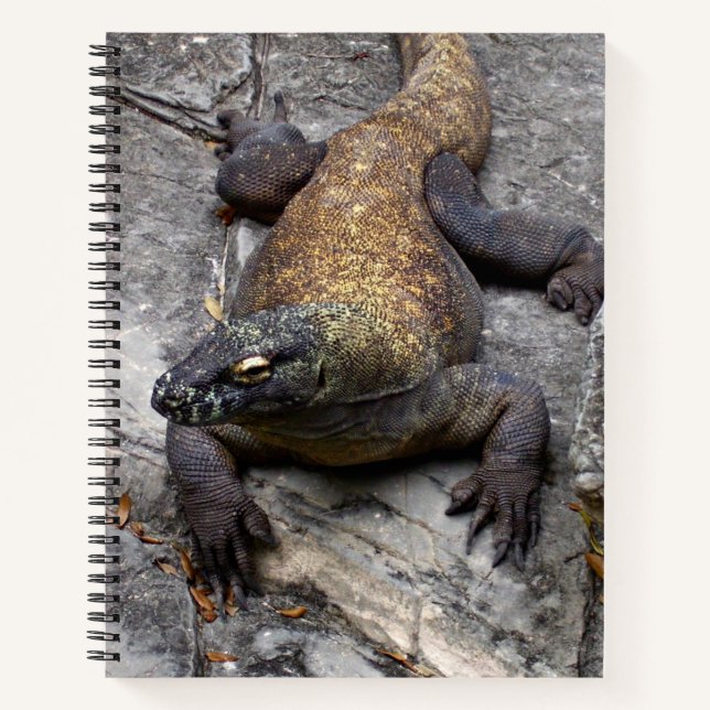 Komodo Dragon Nature Journal (Devant)