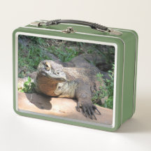 Komodo Dragon - Wild Animal