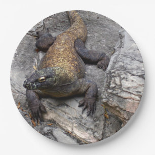 Komodo Pappteller