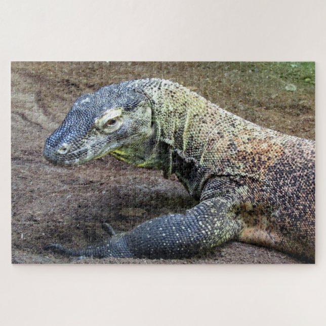 Komododrache (Horizontal)