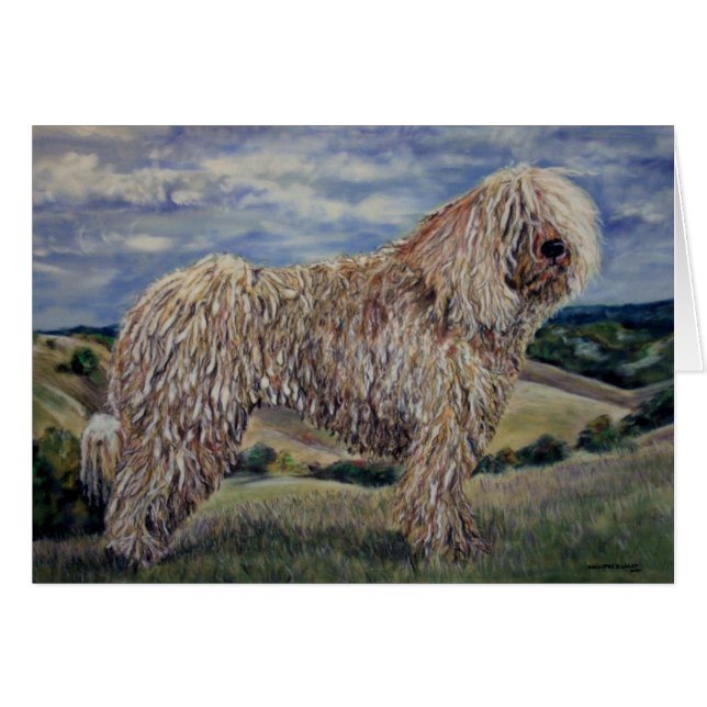 Komondor (Devant horizontal)