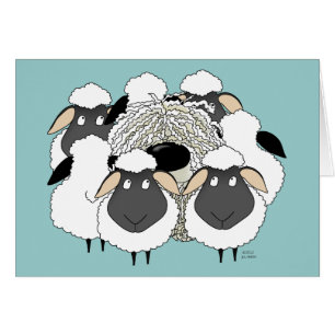 Komondor - brebis absente !