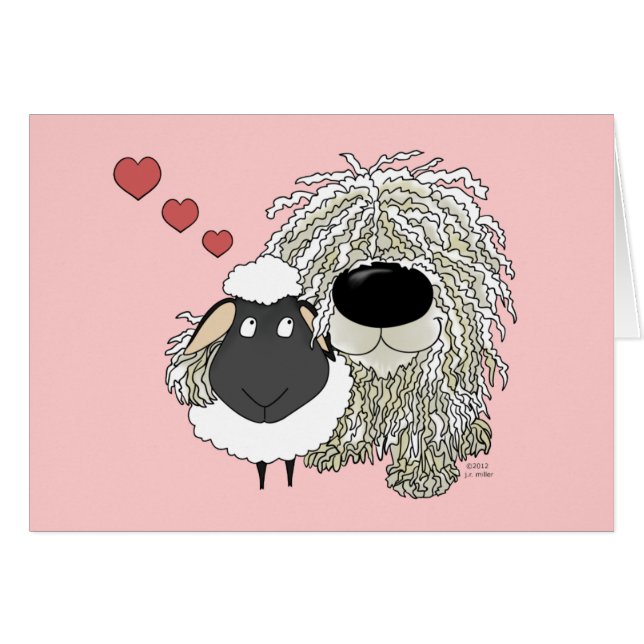 Komondor - brebis d'amour d'I ! (Devant horizontal)