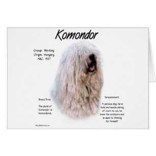 Komondor History Design