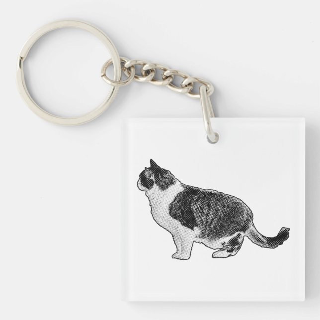 Kompakte Katze, sanfter Blick Schlüsselanhänger (Vorderseite)