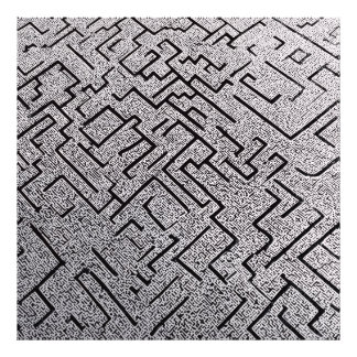 Komplexes Schwarz-Weiß-Labyrinth Fotodruck