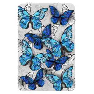 Komposition aus weißen und blauen Schmetterlingen Magnet