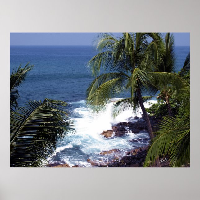 Kona coast 2 poster (Vorne)