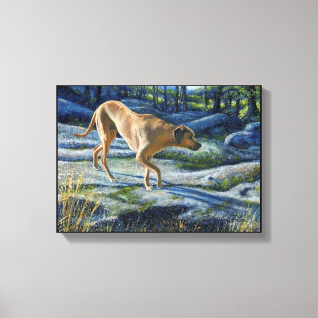 "Kona on the Granite Trail" Leinwanddruck (Vorderseite)