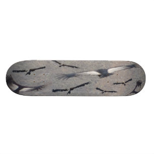 Kondor-Skateboard Skateboard