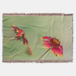 Kone Blume beginnen zu blühen Decke