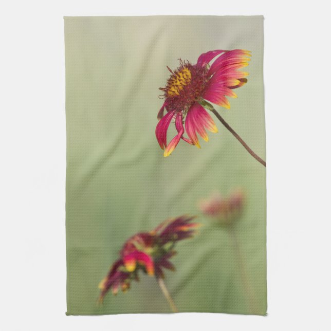 Kone Blume beginnen zu blühen Geschirrtuch (Vertikal)