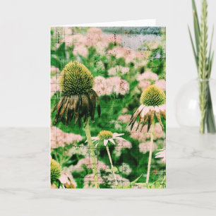 Konflowers Grunge, Geburtstag Karte