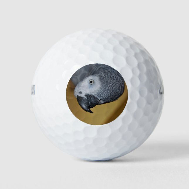 Kongo African Gray Parrot Hello Golfball (Vorderseite)