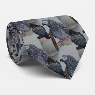 Kongo African Gray Parrot in Mirror Krawatte