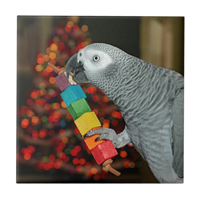 Kongo African Gray Parrot Merry Christmas Tree Fliese (Vorderseite)