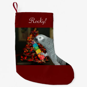 Kongo African Gray Parrot Merry Christmas Tree Kleiner Weihnachtsstrumpf