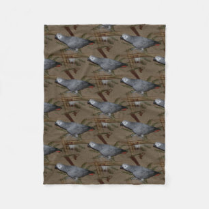 Kongo African Gray Parrot on Floor Fleecedecke