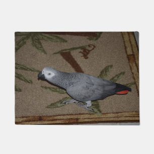 Kongo African Gray Parrot on Floor Fußmatte