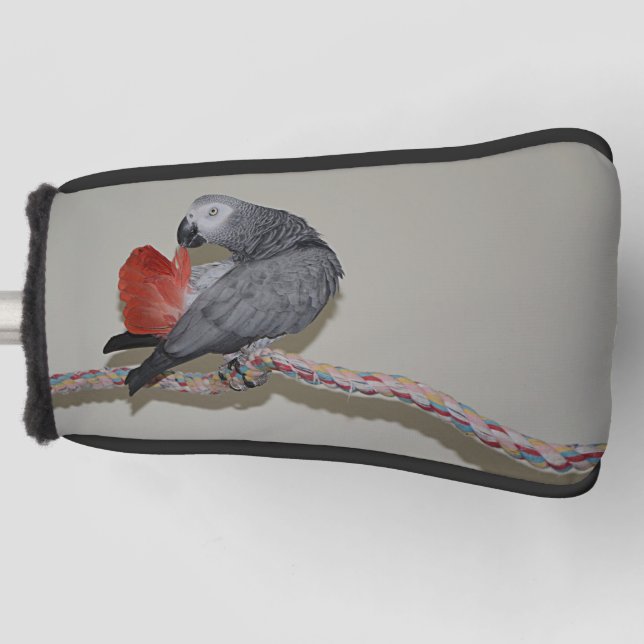 Kongo African Gray Parrot Schwanz Prevue Golf Headcover (Vorderseite)