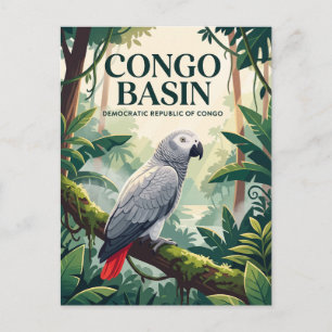 Kongobecken Demokratische Republik Kongo Postkarte