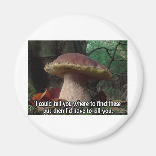 König Bolete - ich würde Sie töten müssen Magnet