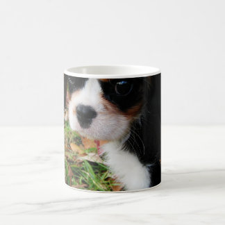 König Charles Cavalier Spaniel Mug Kaffeetasse