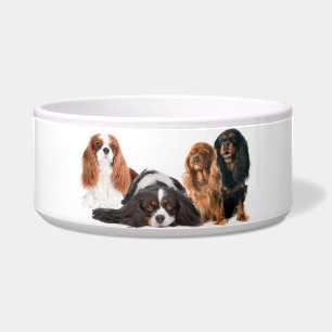 König Charles Cavalier Spaniel Napf