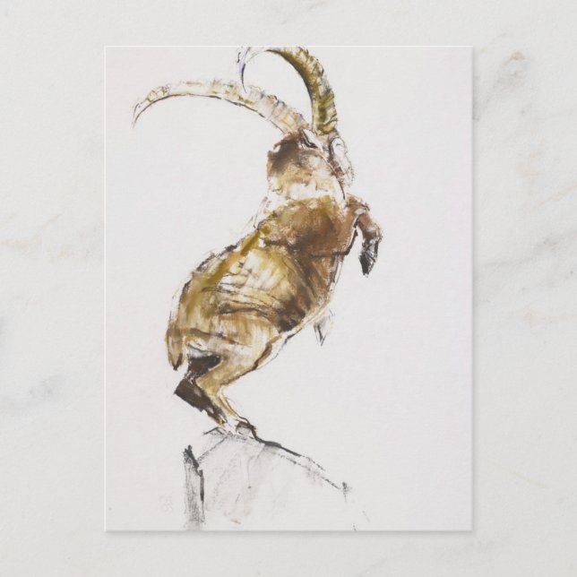 König des Berges 2005 Postkarte (Vorderseite)