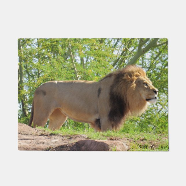 König des Dschungels (Löwe) Türmatte (Vorderseite)