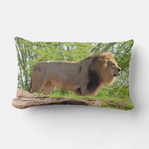 König des Jungle-Lumbalkissens (Löwe) Lendenkissen