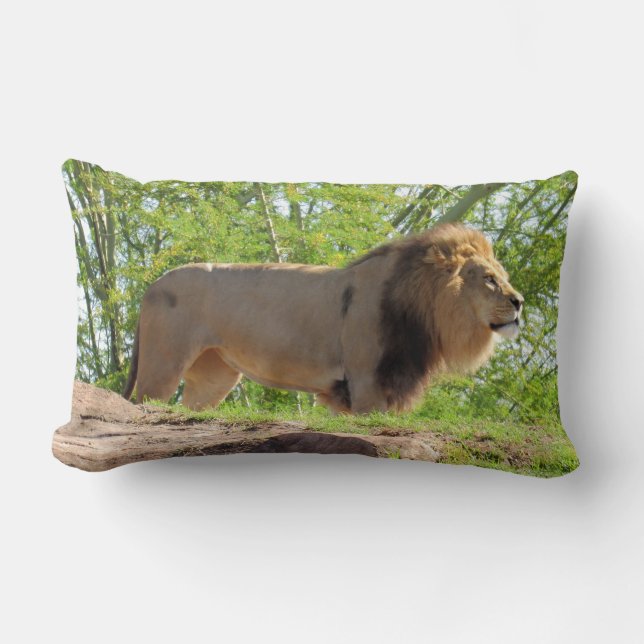 König des Jungle-Lumbalkissens (Löwe) Lendenkissen (Vorderseite)