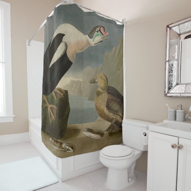 König Ente (König Eider) Audubons Vögel von Amerik Duschvorhang (Beispiel)