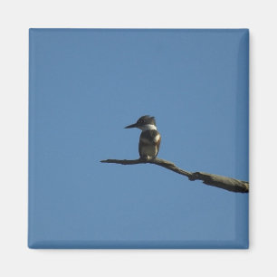 König Fisher Magnet