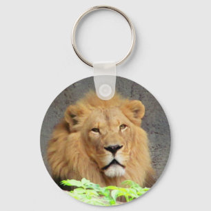 König Lion Mane Man des Stolzes Schlüsselanhänger