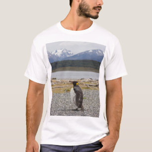 König Pinguin, Isla Martillo, Feuerland T-Shirt