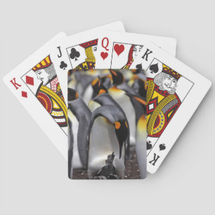 König Pinguin mit Küken Spielkarten